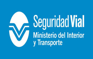 seguridad_vial